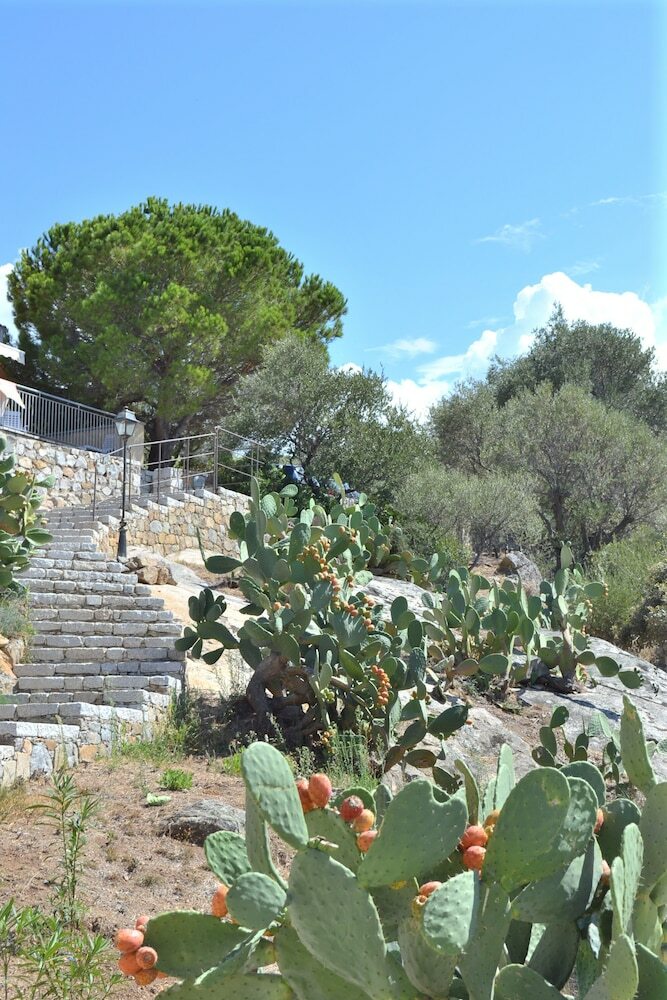Apartamento R�sidence L?olivella