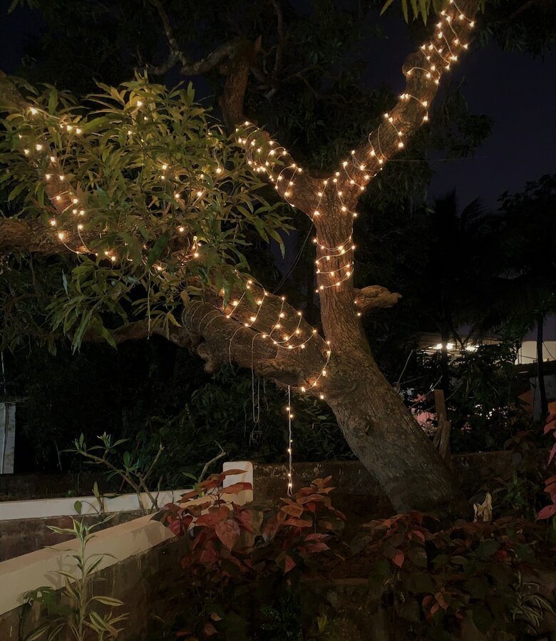 Hostal Rootsvilla Hostel Goa