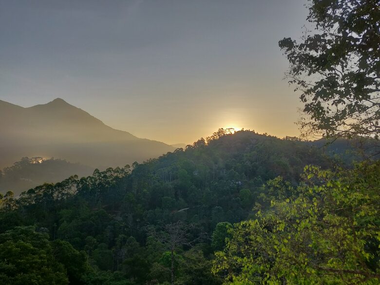 Apartamento The New Munnar Summer Castle
