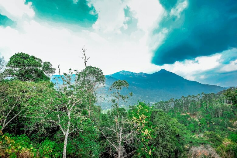 Apartamento The New Munnar Summer Castle