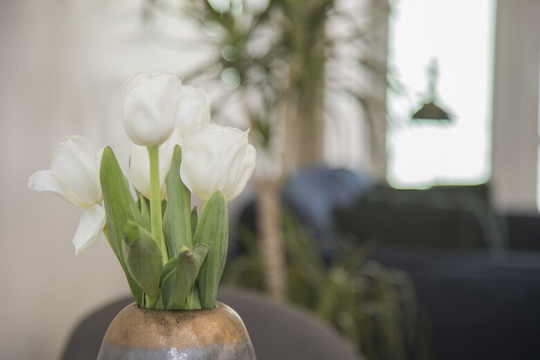 Apartamentos Liiiving In Porto - Cozy & Chic Downtown