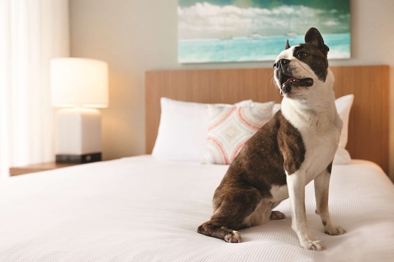 Hotel Hyatt House Virginia Beach / Oceanfront