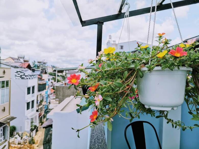 Hotel Dalat Che House