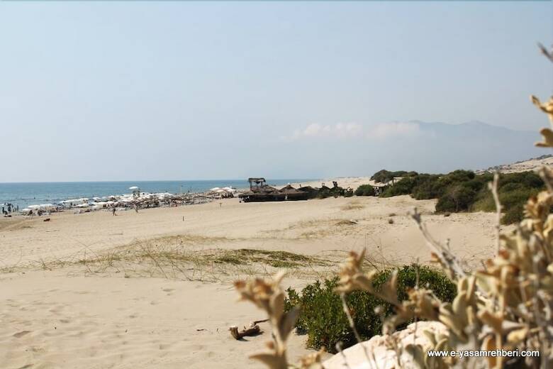 Hostal Patara Woody Hostel & Camping