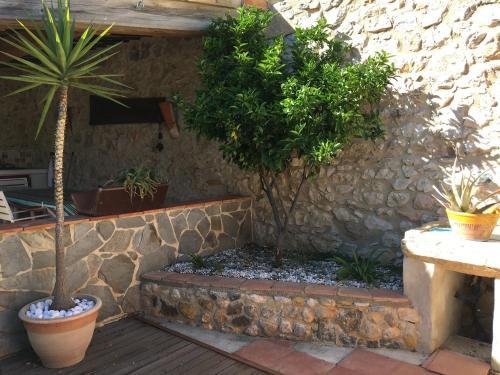 Apartamento R�sidence Jardin De Palme