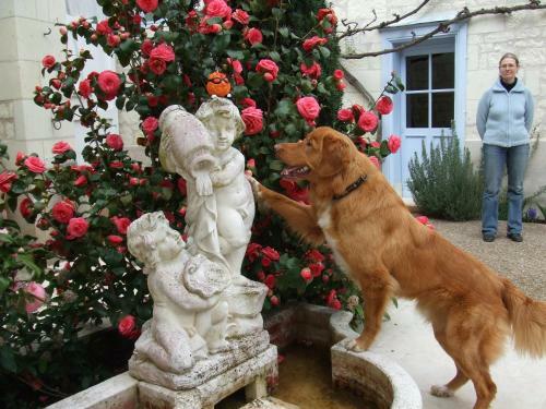 Bed & Breakfast La Closerie Saint Martin