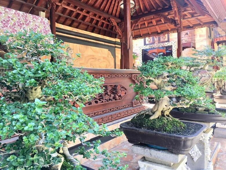 Hotel Mikuk Homestay