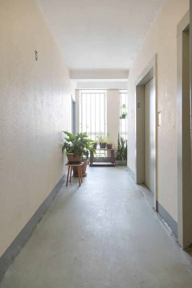 Spikado Apartment Sineva