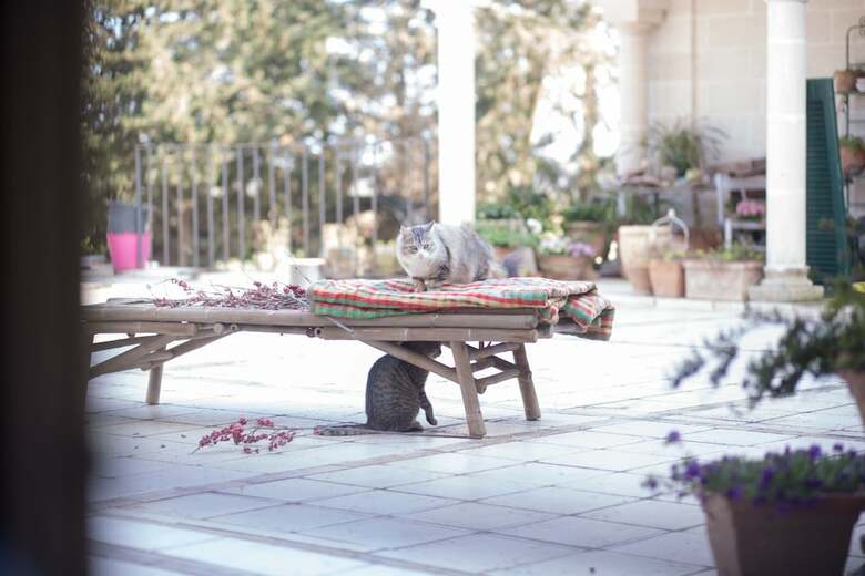 B&B Filobrocante