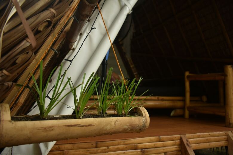 Hostal Neverland - Hostel