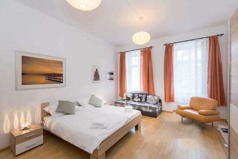 Spasious Apartment In Prague