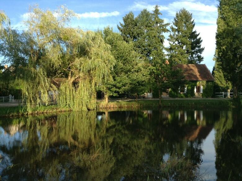 Bed & Breakfast Le Domaine Du Mijarnier