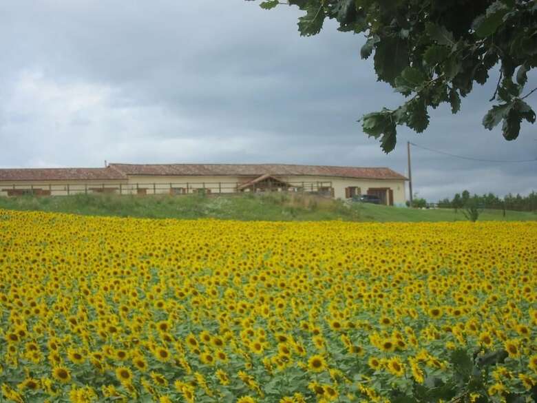 Bed & Breakfast Les Roffies