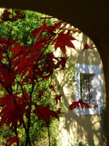 Bed & Breakfast La Risouleto