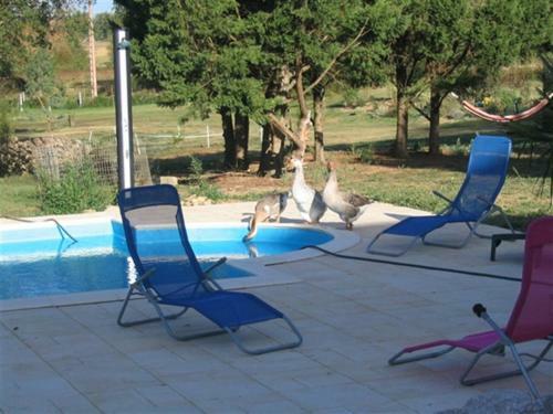 Bed & Breakfast Chambres D'hotes Au Chien Bleu
