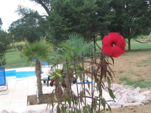 Bed & Breakfast Chambres D'hotes Au Chien Bleu