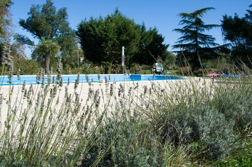 Bed & Breakfast Chambres D'hotes Au Chien Bleu