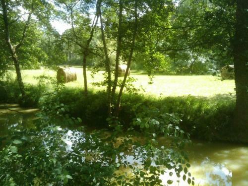 Bed & Breakfast Ch�teau De Fourc�s