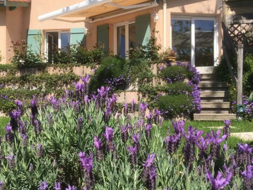 Bed & Breakfast Le Relais Des Malettes
