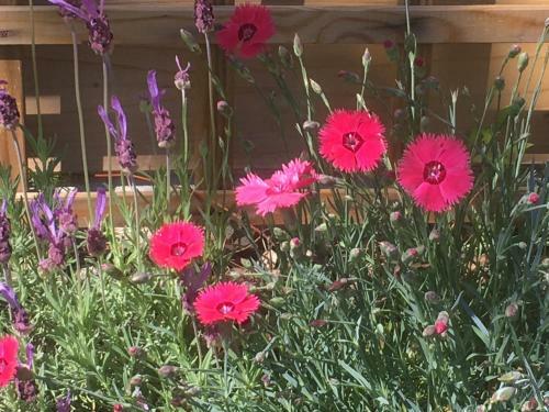 Bed & Breakfast Le Relais Des Malettes