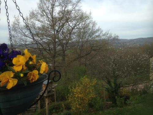 Bed & Breakfast Le Relais Des Malettes