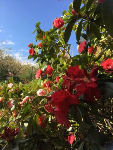 Bed & Breakfast Le Relais Des Malettes