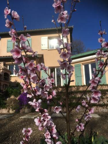 Bed & Breakfast Le Relais Des Malettes