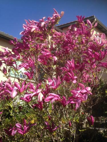Bed & Breakfast Le Relais Des Malettes