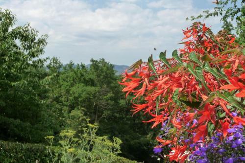 Bed & Breakfast Le Relais Des Malettes
