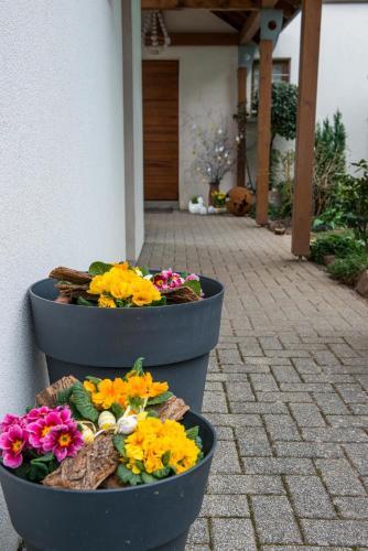 Bed & Breakfast Chambres D'h�tes Rachelle Schneider