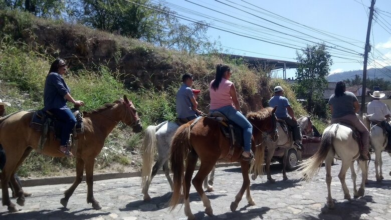 Bed & Breakfast Hotel Rosalila