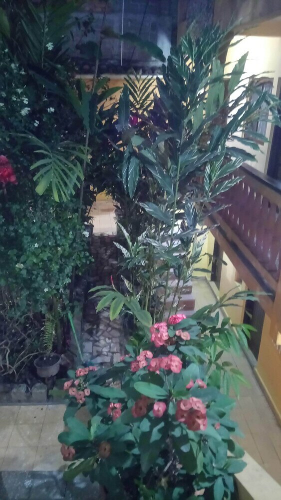 Bed & Breakfast Hotel Rosalila