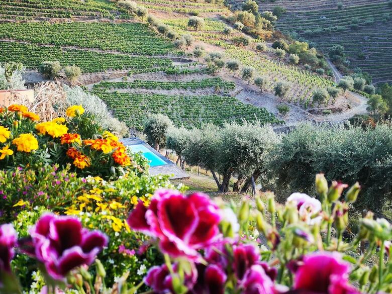 Quinta Das Fontainhas - Douro Valley