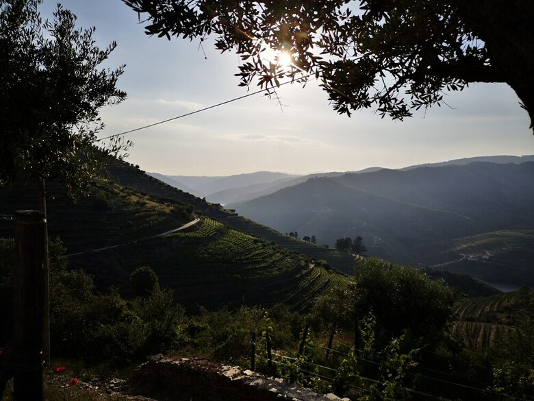 Quinta Das Fontainhas - Douro Valley