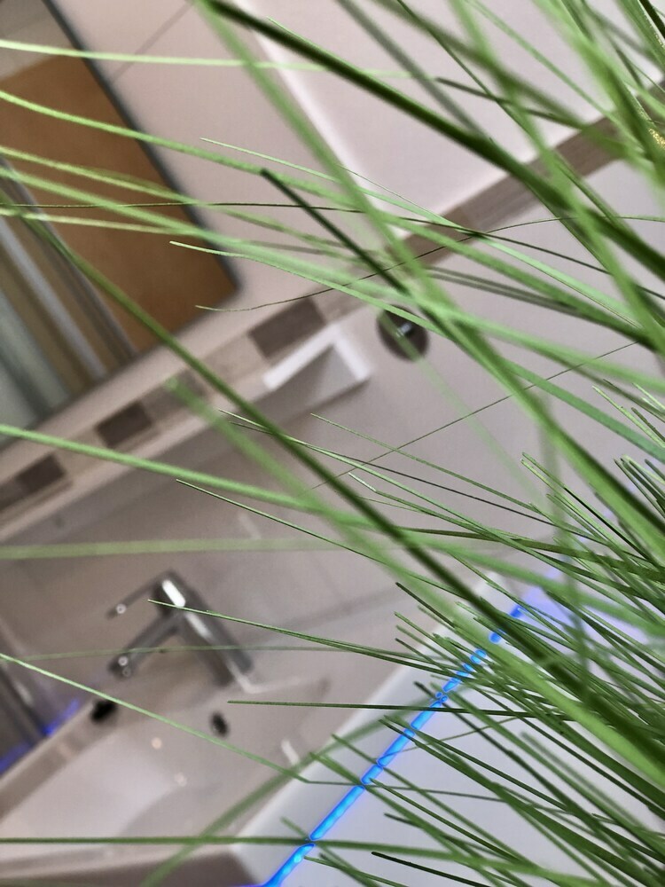 Ferienwohnung Stadtoase Apartmenthaus