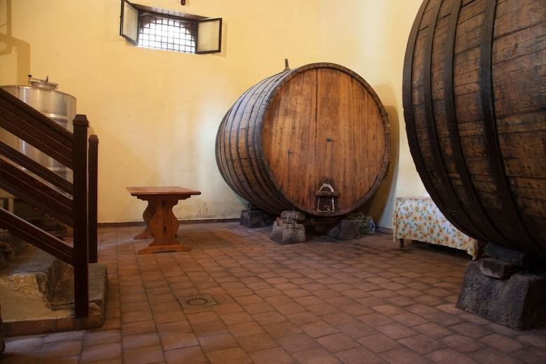 Agroturismo L'antica Vigna