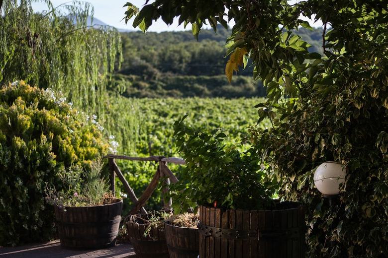 Agroturismo L'antica Vigna