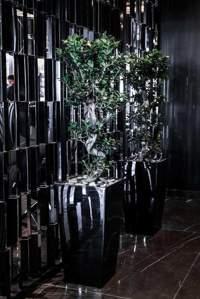 Black Hotels Bonn