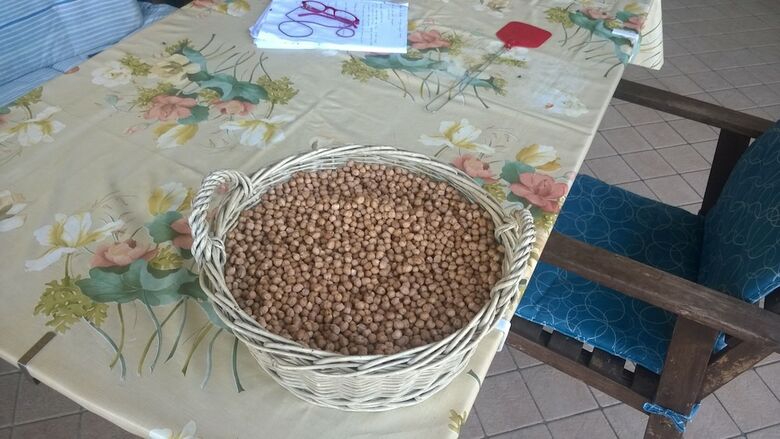 Agroturismo Farmhouse Paradiso