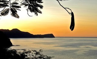 Hotel Ocotal Beach Resort
