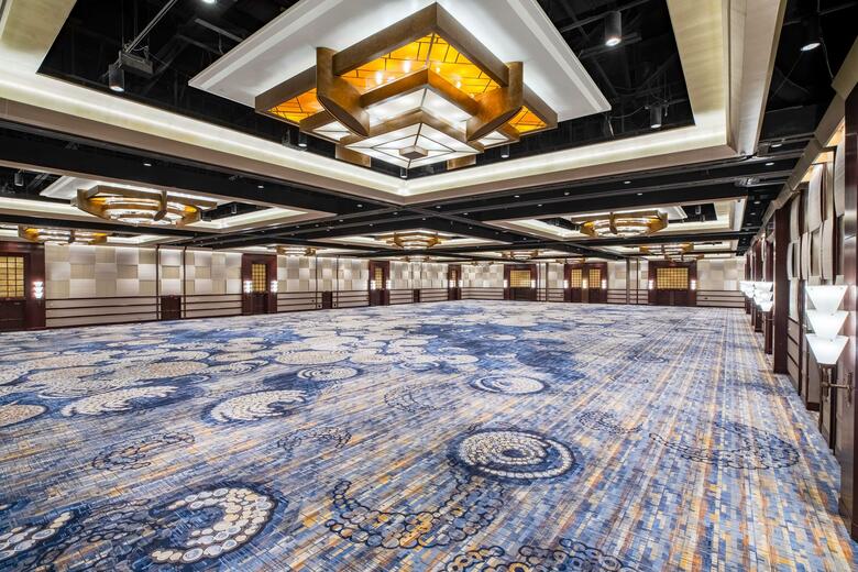 Hotel Hilton Americas-houston