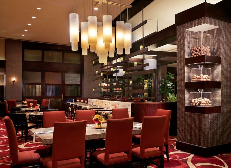 Hotel Hilton Americas-houston