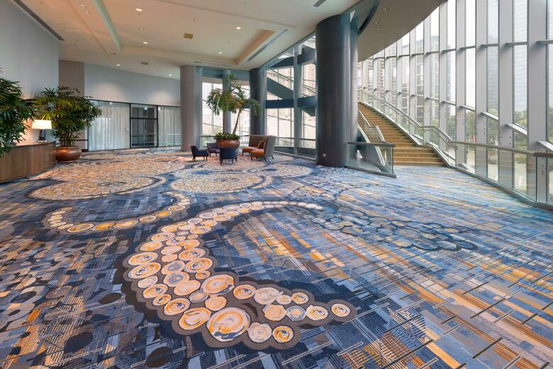 Hotel Hilton Americas-houston