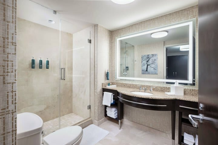 Hotel Hilton Americas-houston