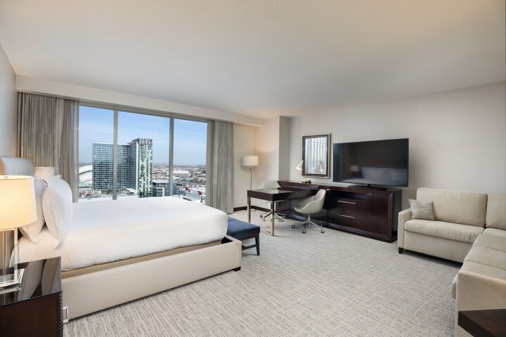 Hotel Hilton Americas-houston