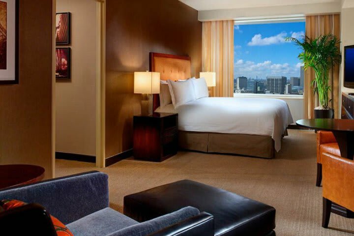 Hotel Hilton Americas-houston