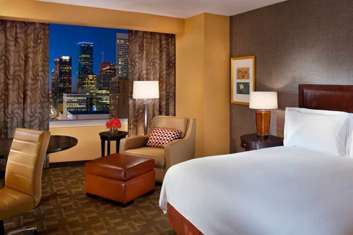 Hotel Hilton Americas-houston