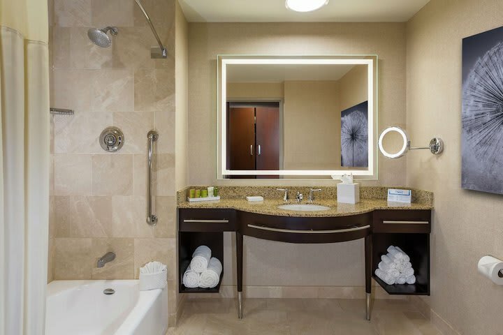 Hotel Hilton Americas-houston