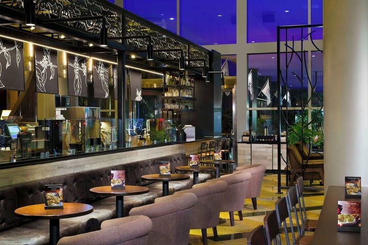 Hotel Hilton Americas-houston