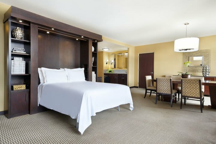 Hotel Hilton Americas-houston